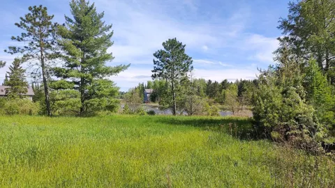 80048 Tamarack Trail