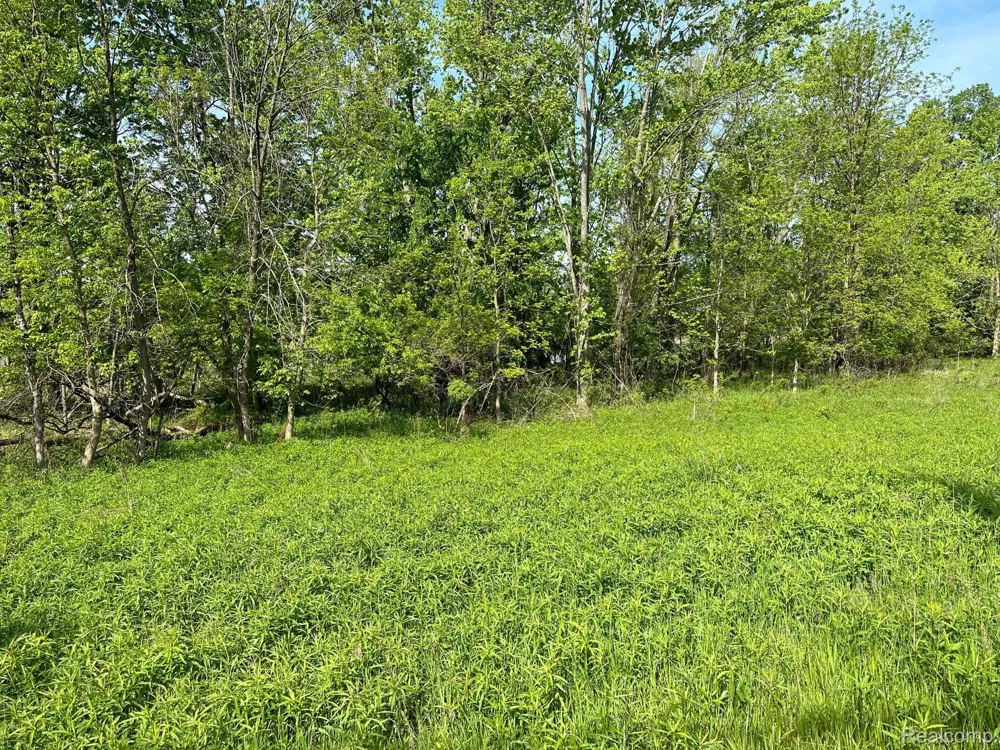 N Holly Holly Township, MI 48442