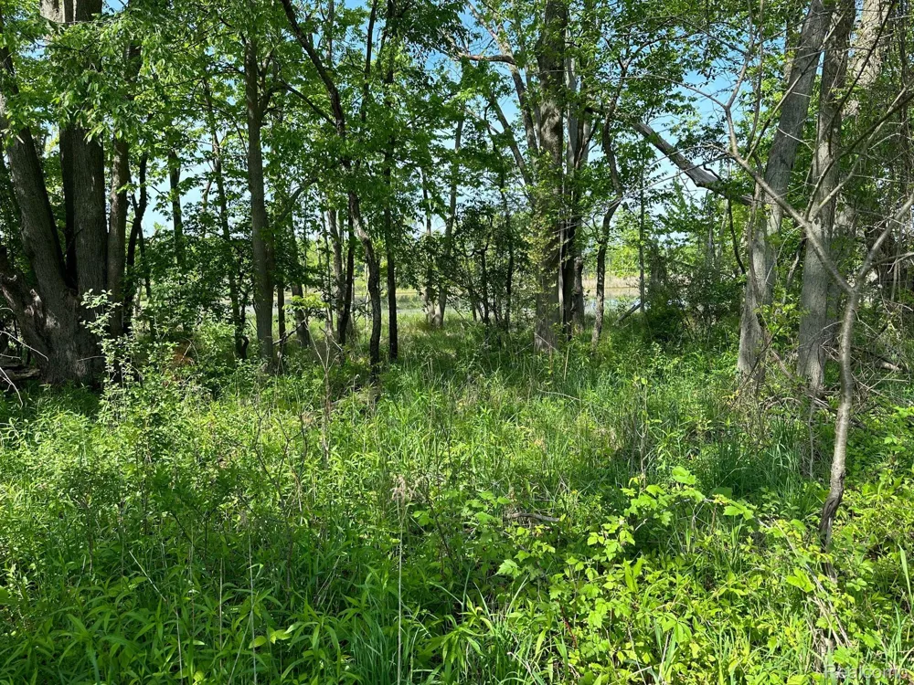 N Holly Holly Township, MI 48442