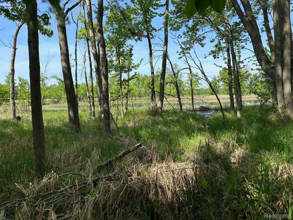 N Holly Holly Township, MI 48442