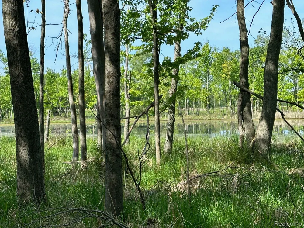 N Holly Holly Township, MI 48442