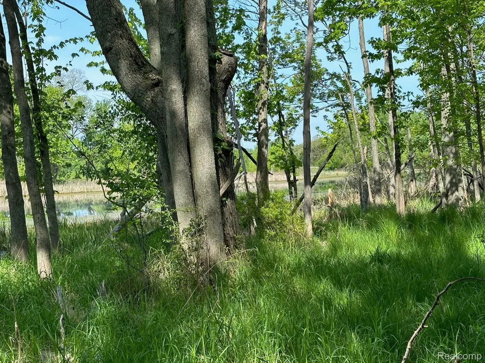 N Holly Holly Township, MI 48442
