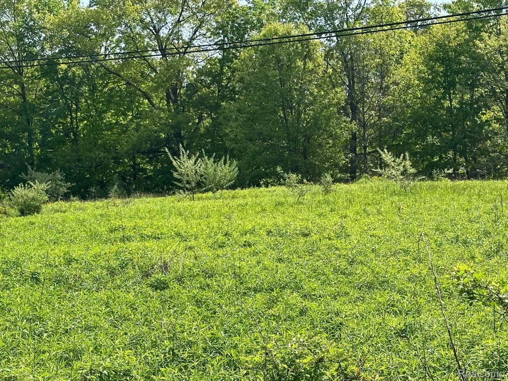 N Holly Holly Township, MI 48442