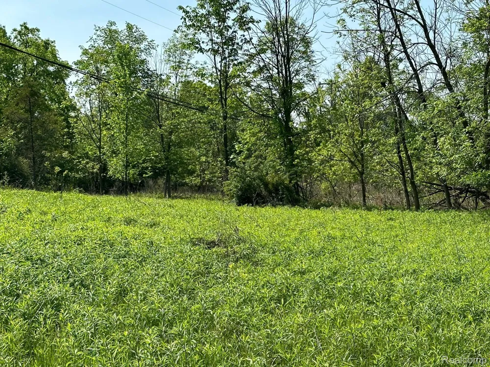 N Holly Holly Township, MI 48442