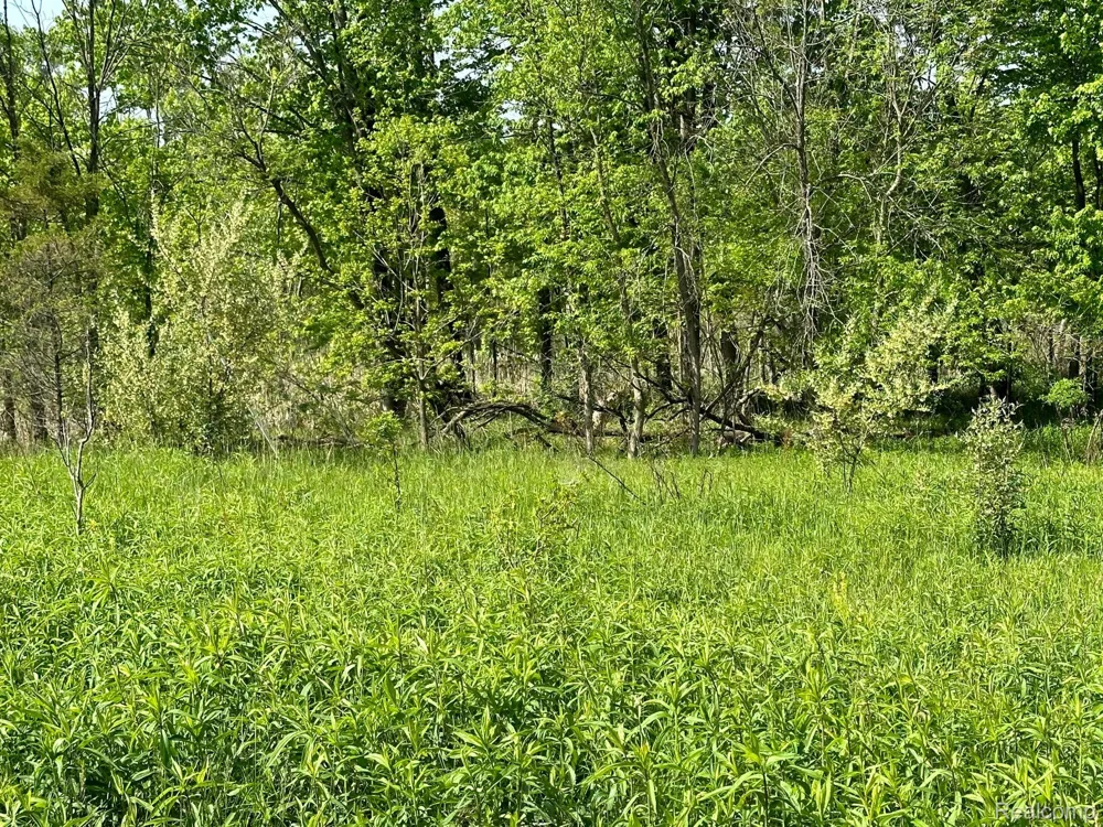 N Holly Holly Township, MI 48442