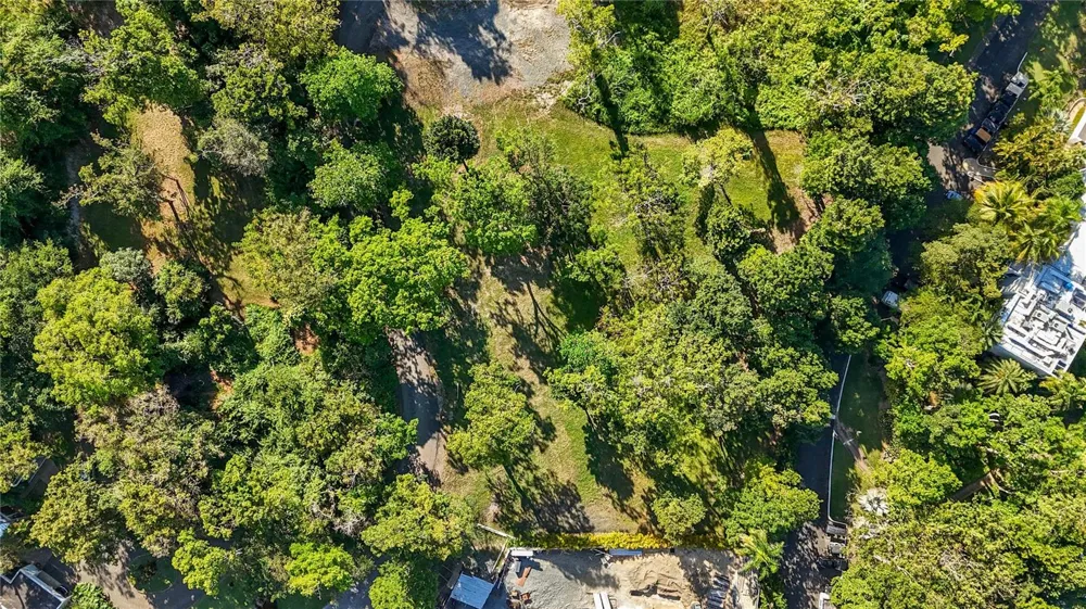 #8 VILLA DORADO ESTATES Dorado, PR 00646
