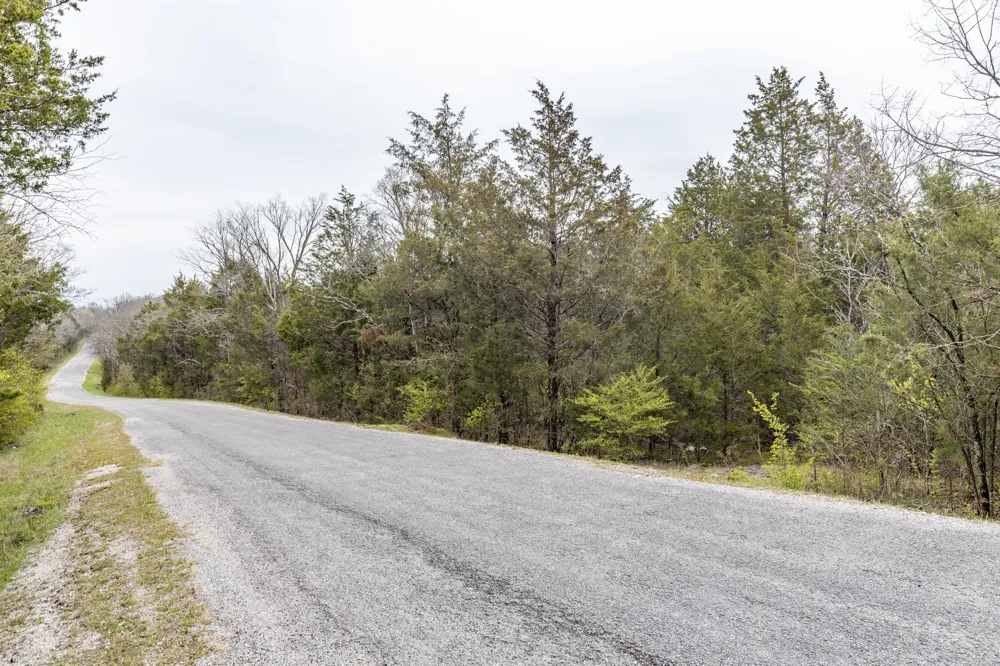 0 Owl Hollow Rd Spring Hill, TN 37174