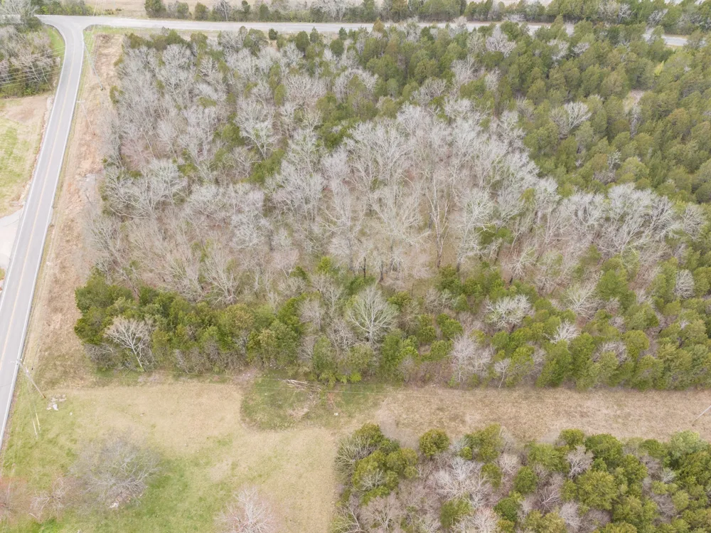 0 Owl Hollow Rd Spring Hill, TN 37174
