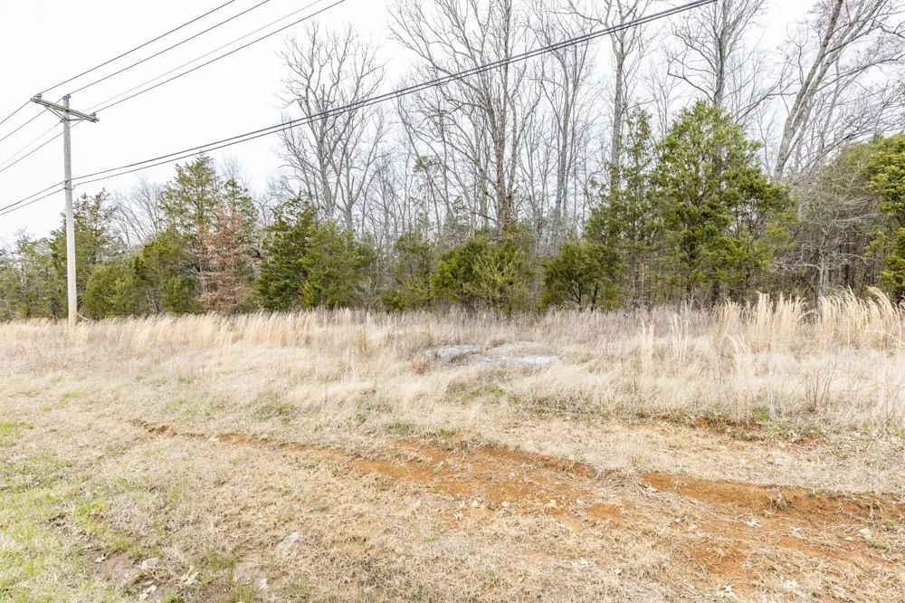 0 Owl Hollow Rd Spring Hill, TN 37174