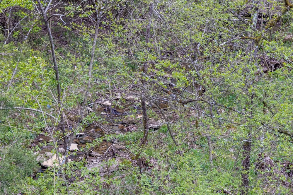0 Owl Hollow Rd Spring Hill, TN 37174