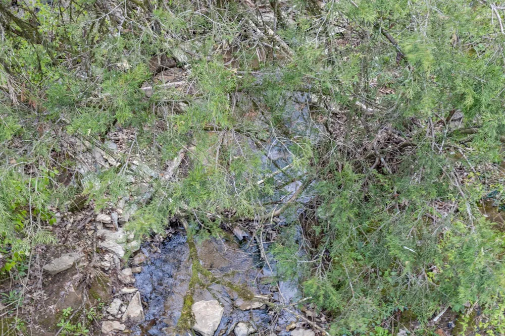 0 Owl Hollow Rd Spring Hill, TN 37174