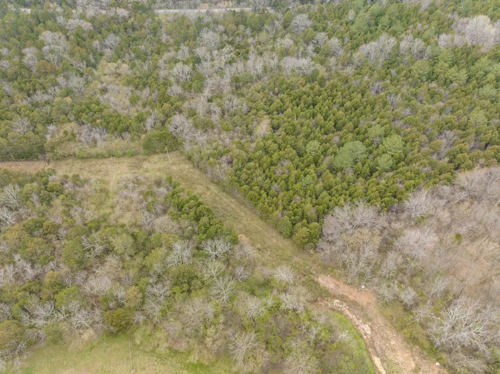 0 Owl Hollow Rd Spring Hill, TN 37174