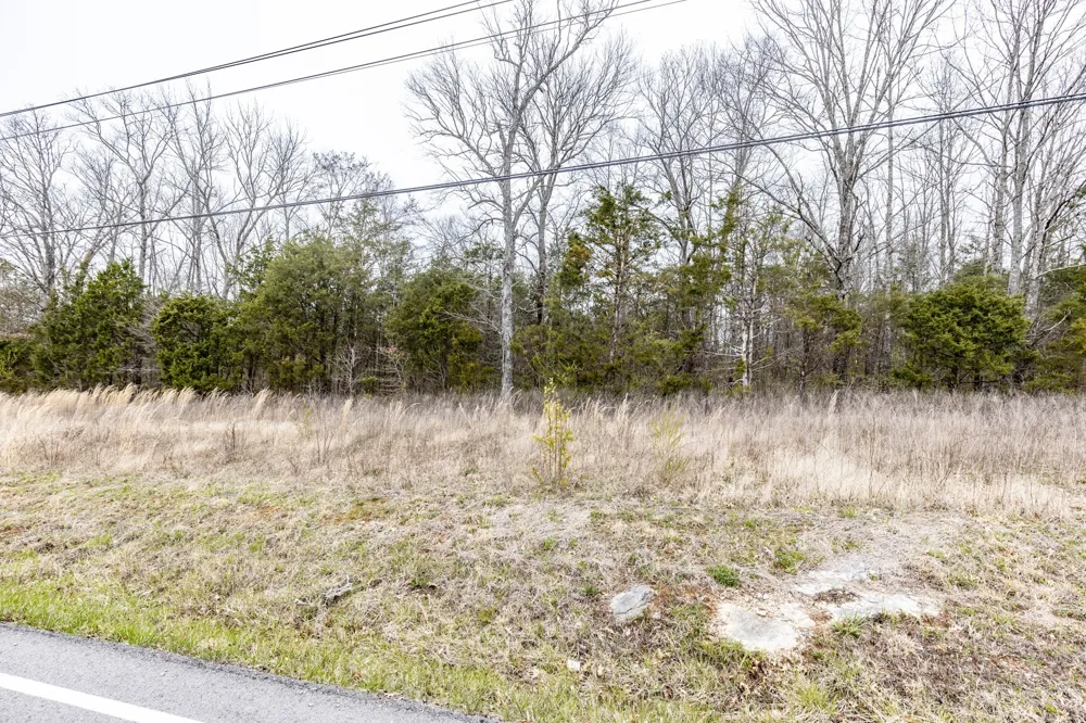 0 Owl Hollow Rd Spring Hill, TN 37174
