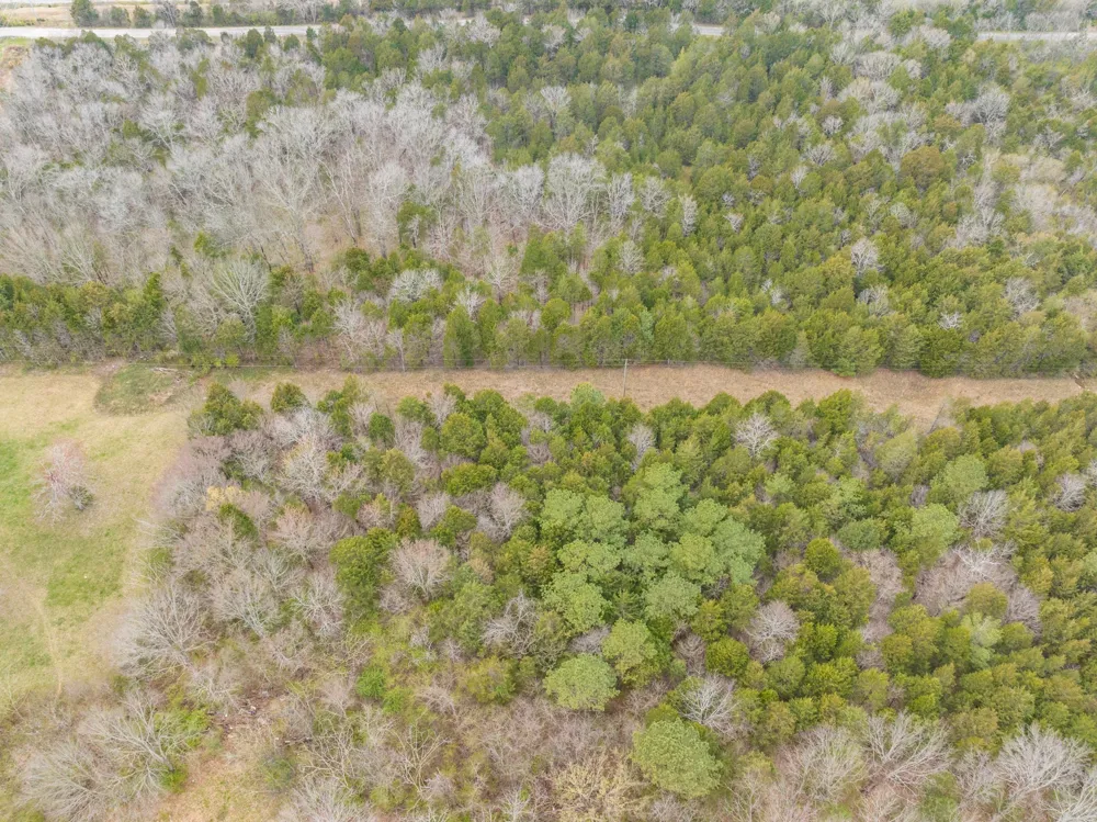 0 Owl Hollow Rd Spring Hill, TN 37174