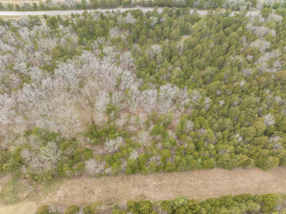 0 Owl Hollow Rd Spring Hill, TN 37174