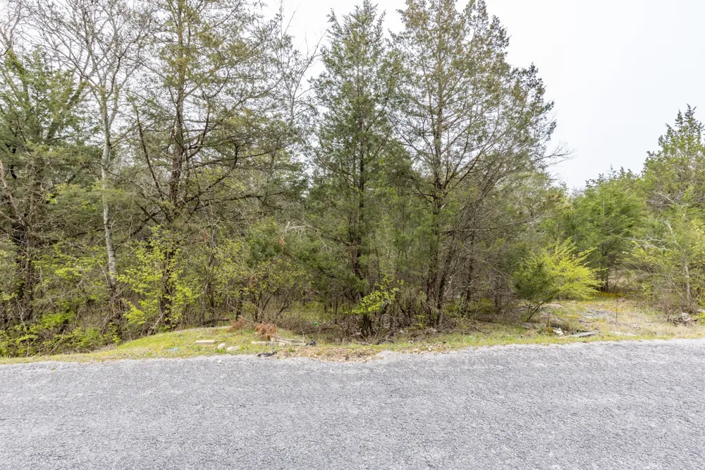 0 Owl Hollow Rd Spring Hill, TN 37174