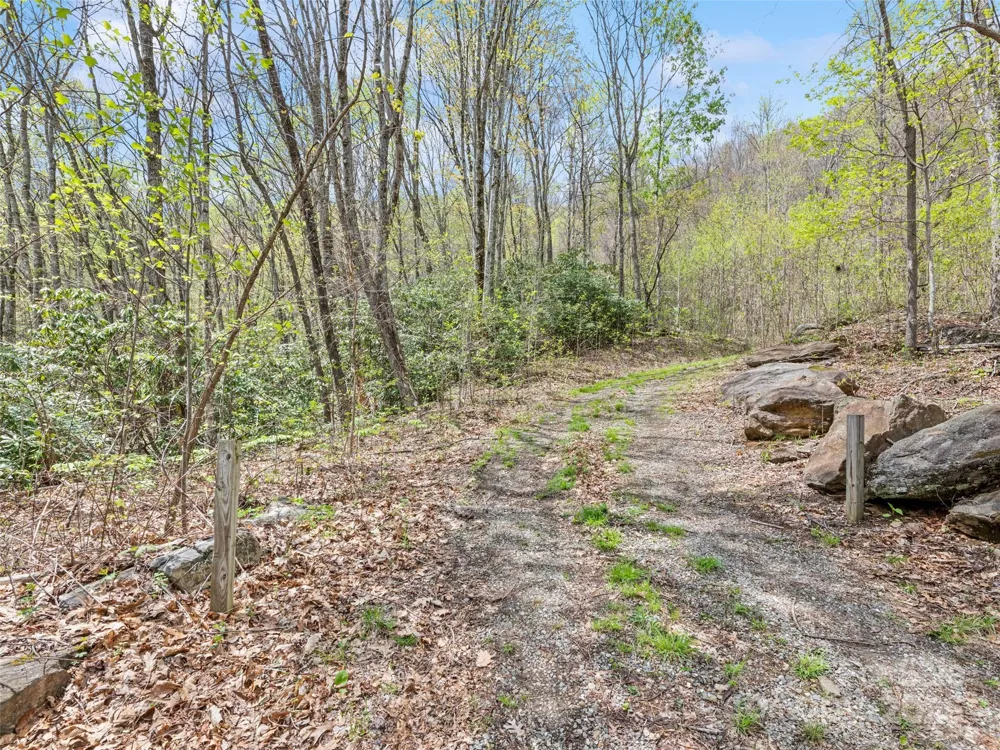 TBD Laurel Ridge Drive Maggie Valley, NC 28786