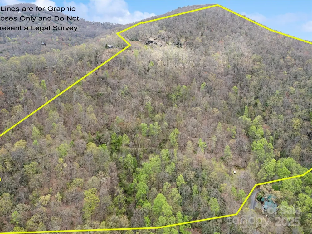 TBD Laurel Ridge Drive Maggie Valley, NC 28786