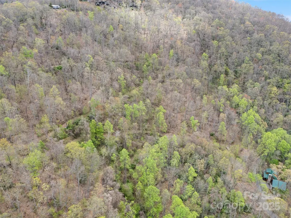 TBD Laurel Ridge Drive Maggie Valley, NC 28786