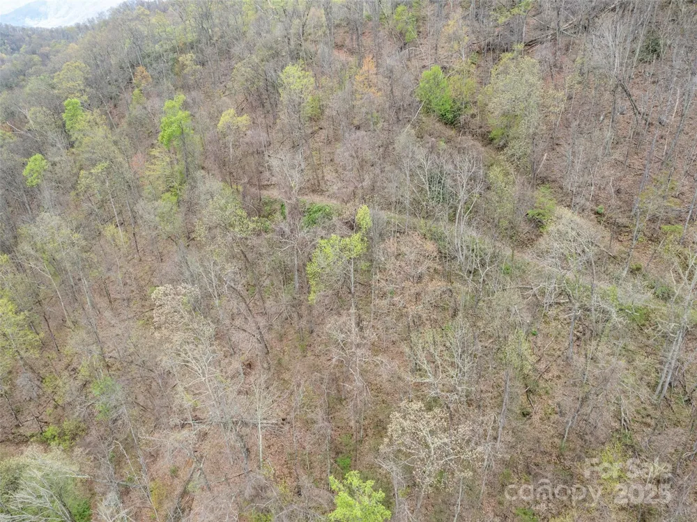 TBD Laurel Ridge Drive Maggie Valley, NC 28786