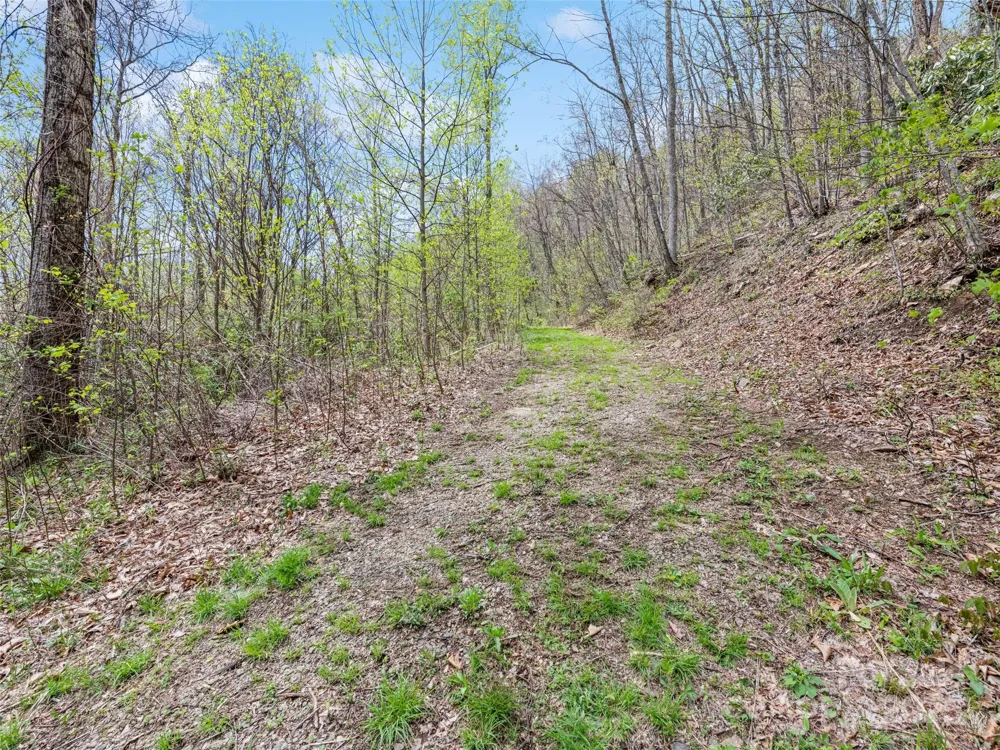 TBD Laurel Ridge Drive Maggie Valley, NC 28786
