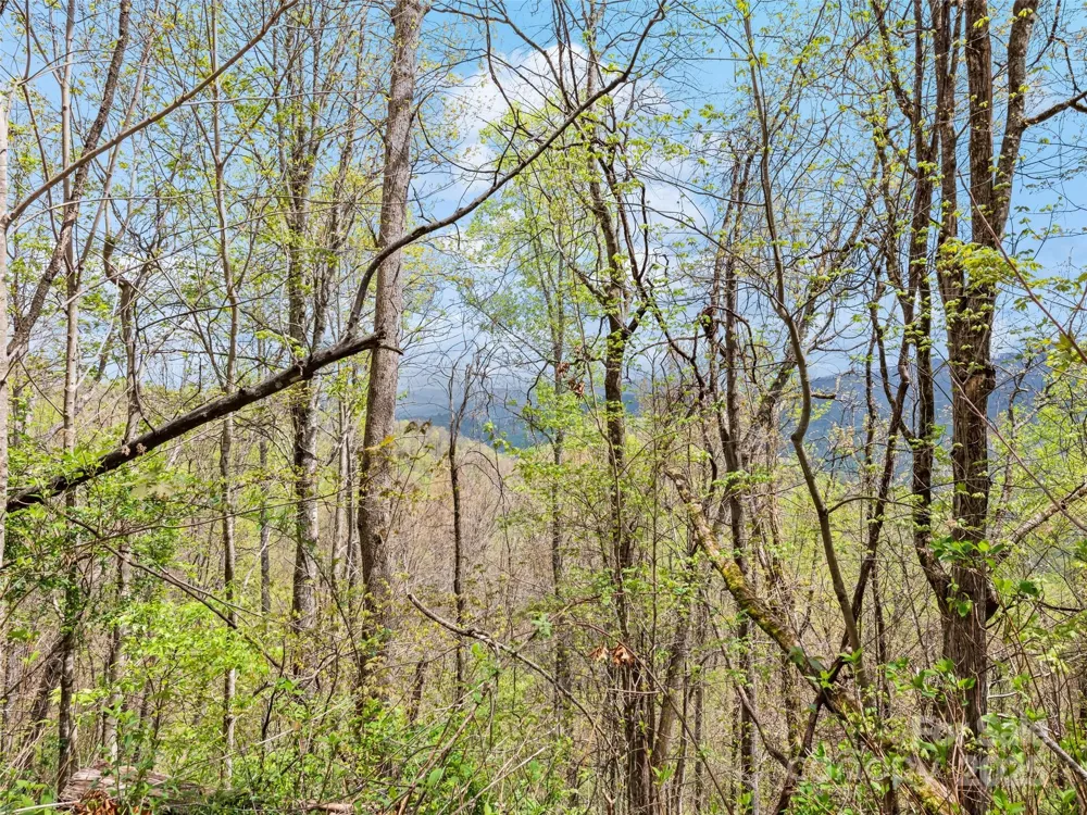 TBD Laurel Ridge Drive Maggie Valley, NC 28786