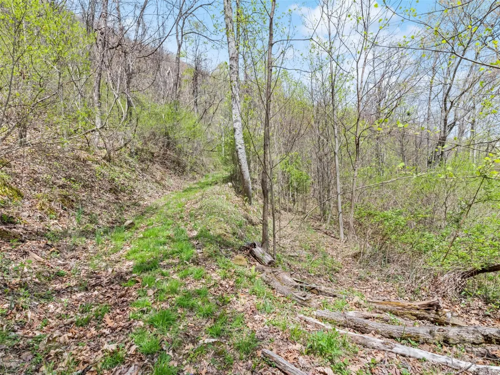 TBD Laurel Ridge Drive Maggie Valley, NC 28786