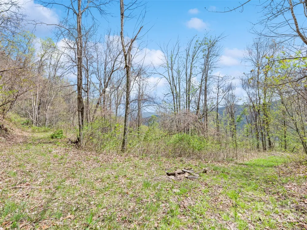 TBD Laurel Ridge Drive Maggie Valley, NC 28786