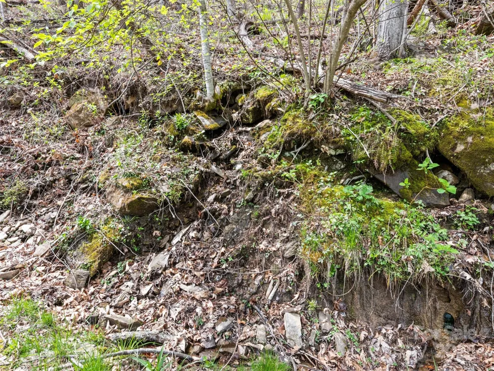 TBD Laurel Ridge Drive Maggie Valley, NC 28786
