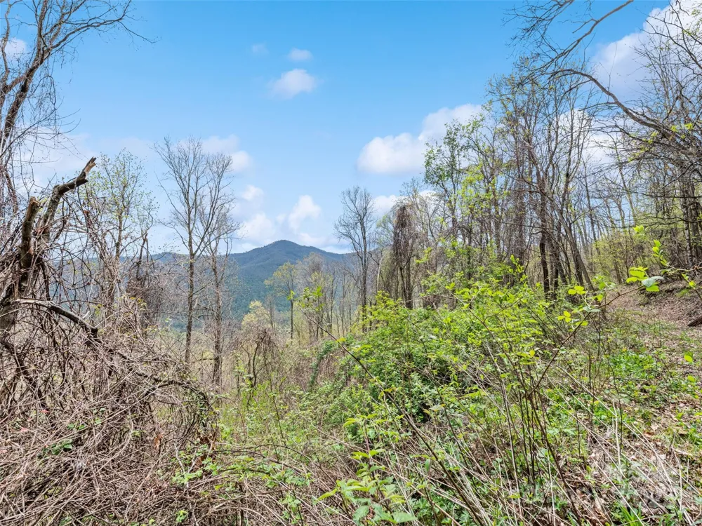 TBD Laurel Ridge Drive Maggie Valley, NC 28786