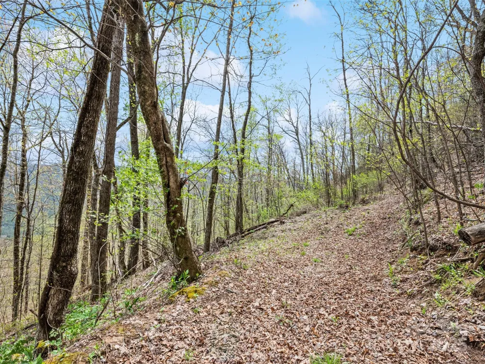 TBD Laurel Ridge Drive Maggie Valley, NC 28786