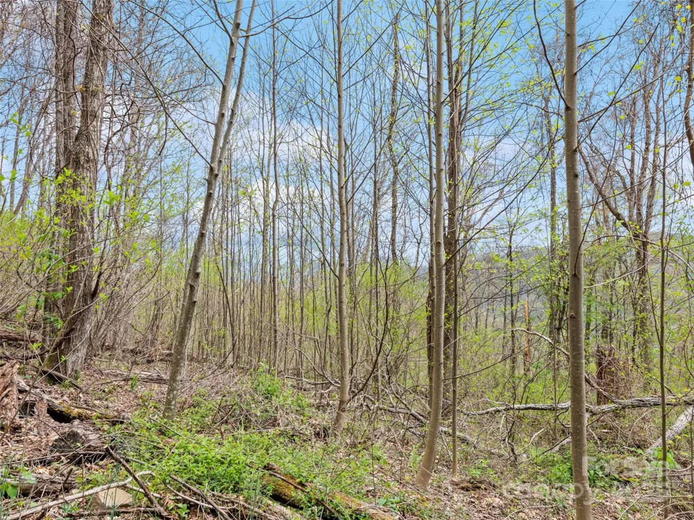 TBD Laurel Ridge Drive Maggie Valley, NC 28786
