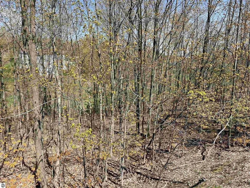 4863 Grayhawk Boulevard Garfield Charter Township, MI 49684