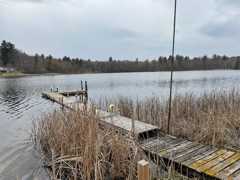 4605 Hunters Trail Douglass Township, MI 48886