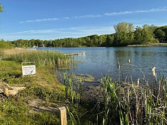 4605 Hunters Trail Douglass Township, MI 48886