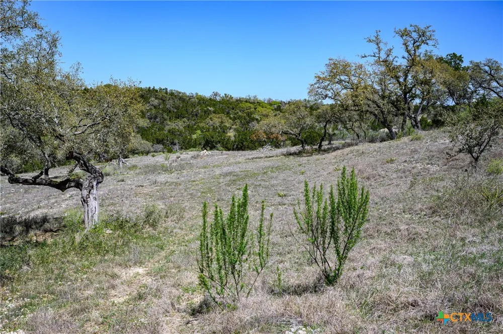 5922 Colin Ridge New Braunfels, TX 78132
