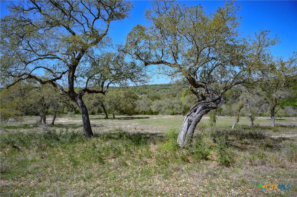 5922 Colin Ridge New Braunfels, TX 78132