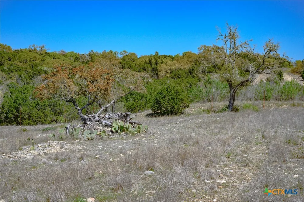 5922 Colin Ridge New Braunfels, TX 78132