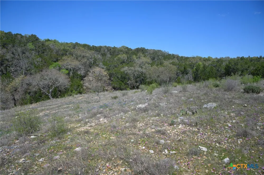 5922 Colin Ridge New Braunfels, TX 78132
