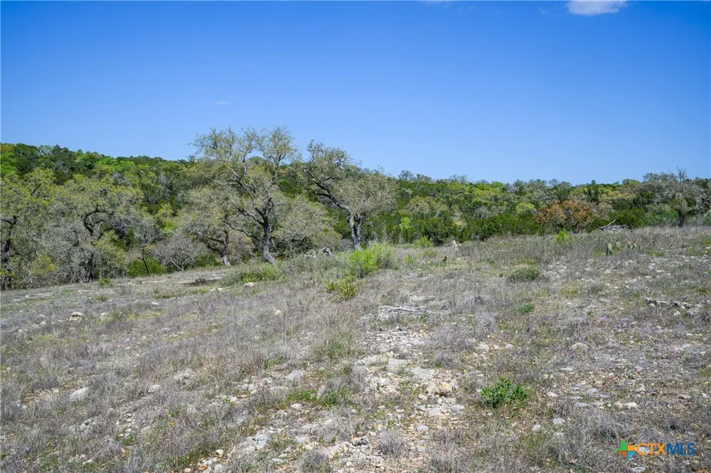5922 Colin Ridge New Braunfels, TX 78132