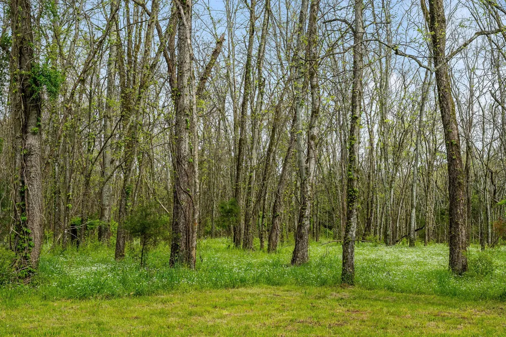 134 Opossum Hollow Rd Watertown, TN 37184