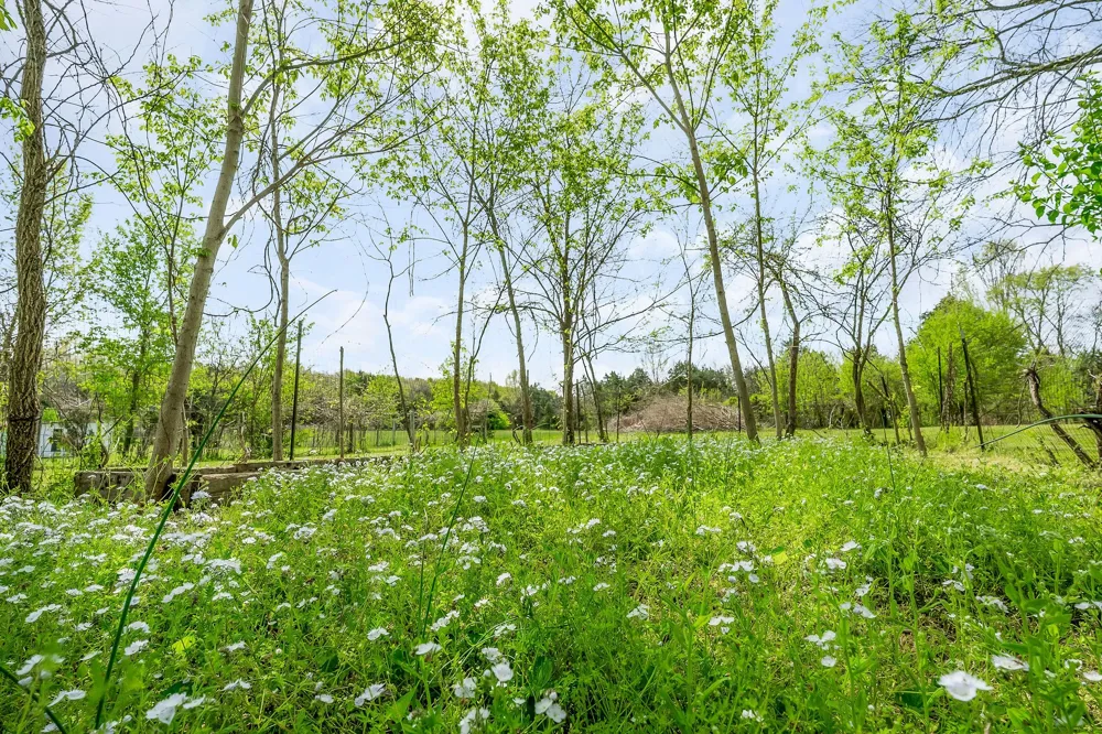 134 Opossum Hollow Rd Watertown, TN 37184