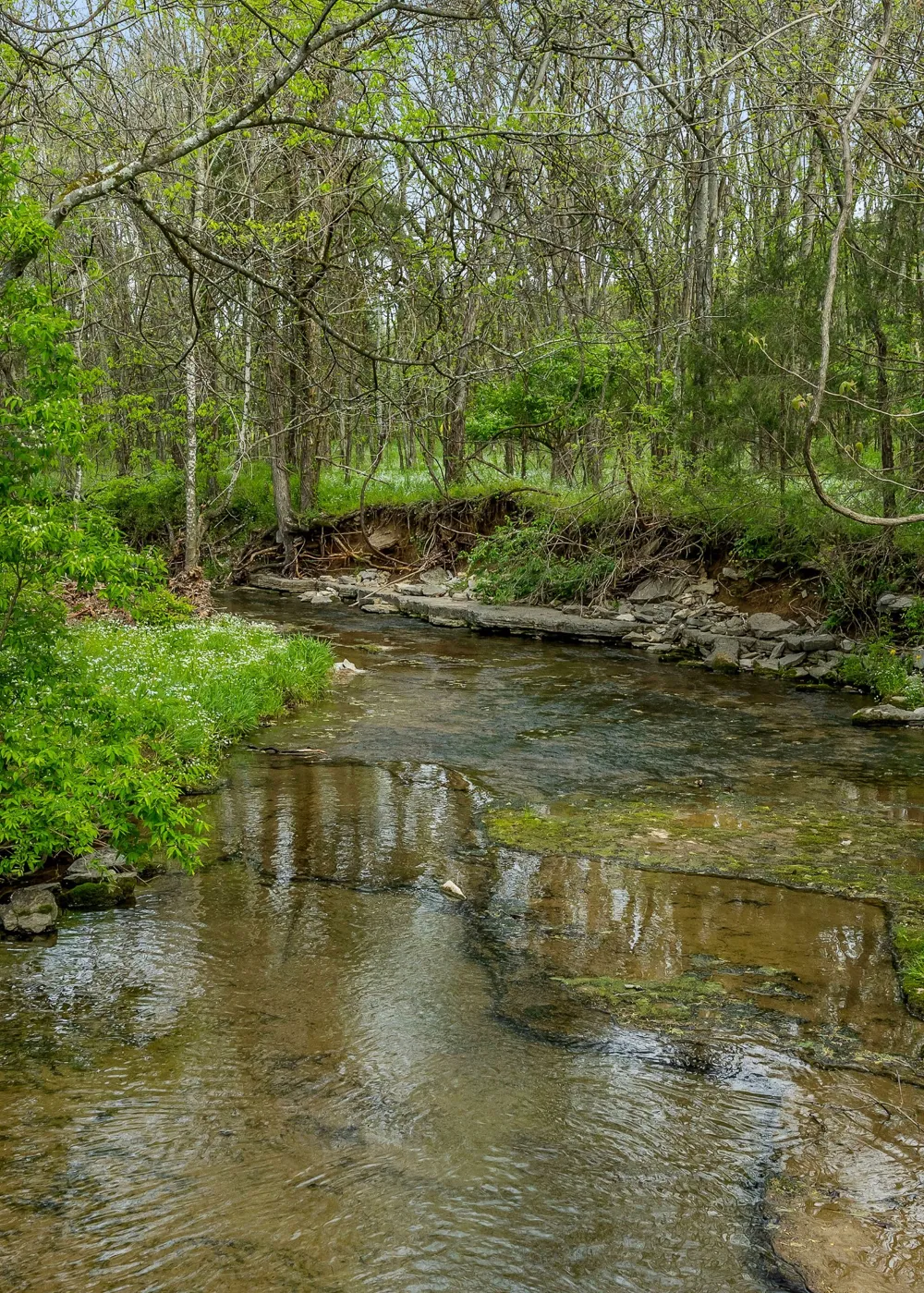 134 Opossum Hollow Rd Watertown, TN 37184