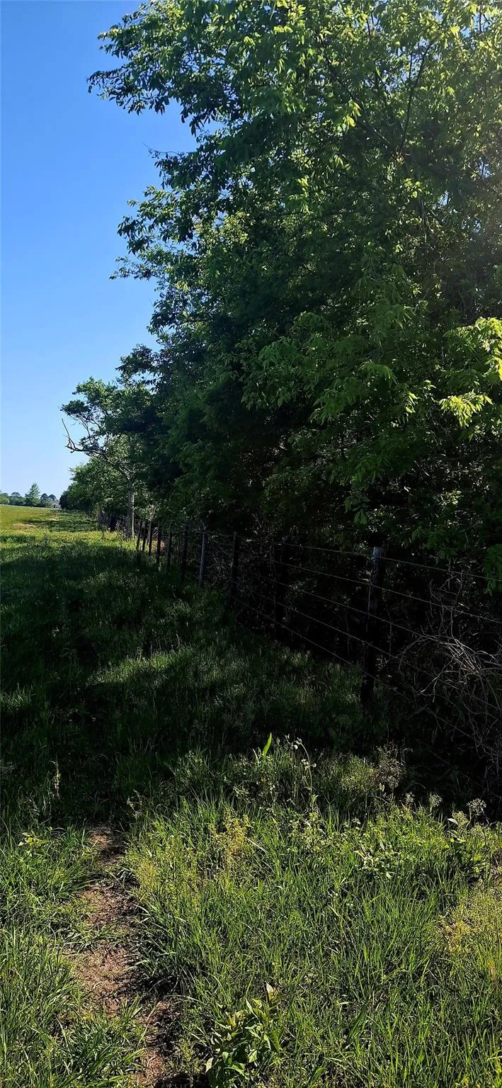 3448 Belton Lane Anahuac, TX 77514