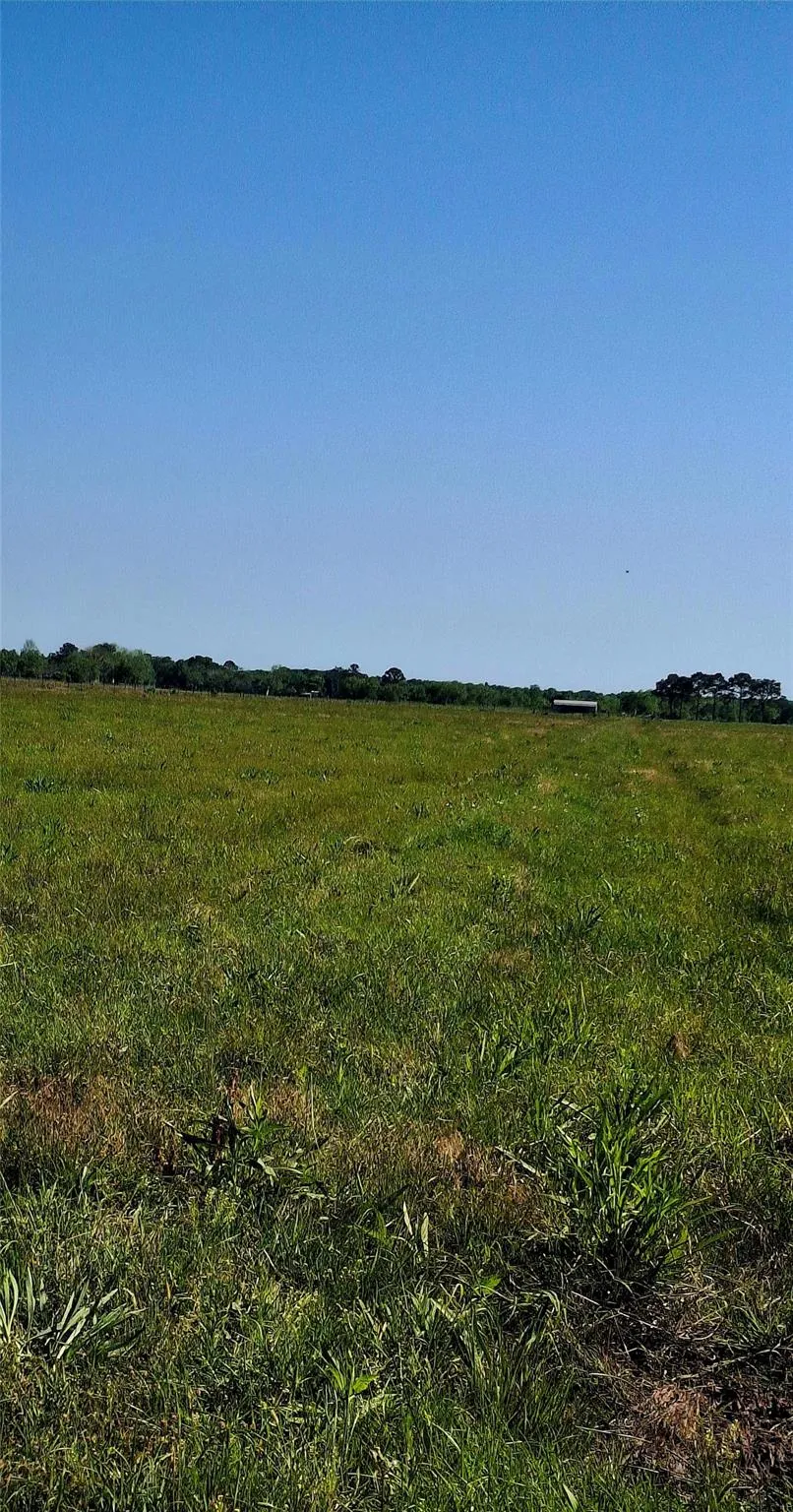 3448 Belton Lane Anahuac, TX 77514