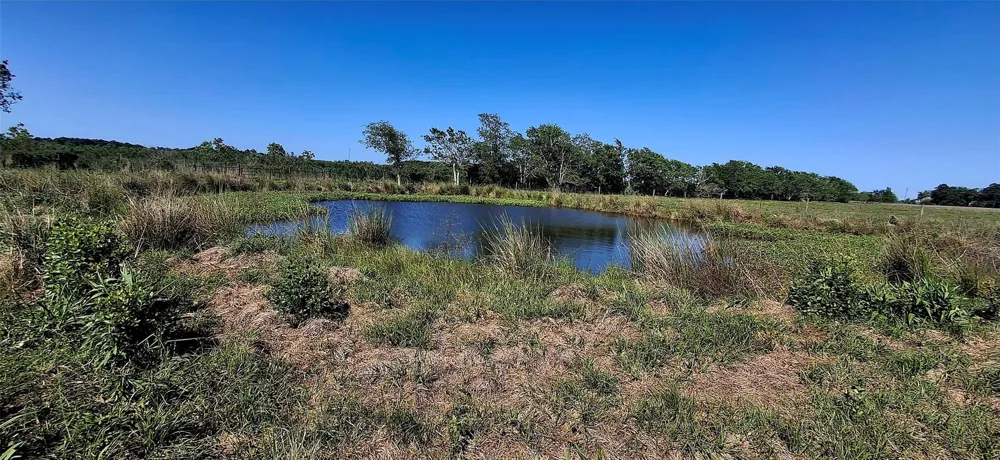3448 Belton Lane Anahuac, TX 77514