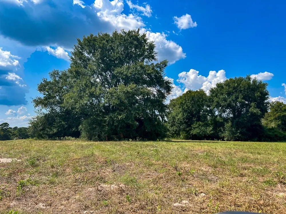 1957 County Road 155 Bedias, TX 77831