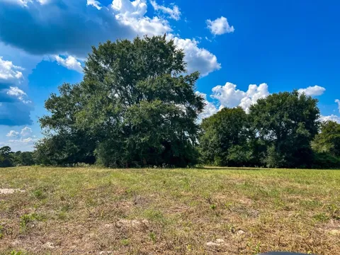 1957 County Road 155