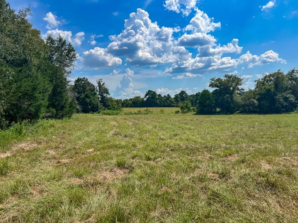 1957 County Road 155 Bedias, TX 77831