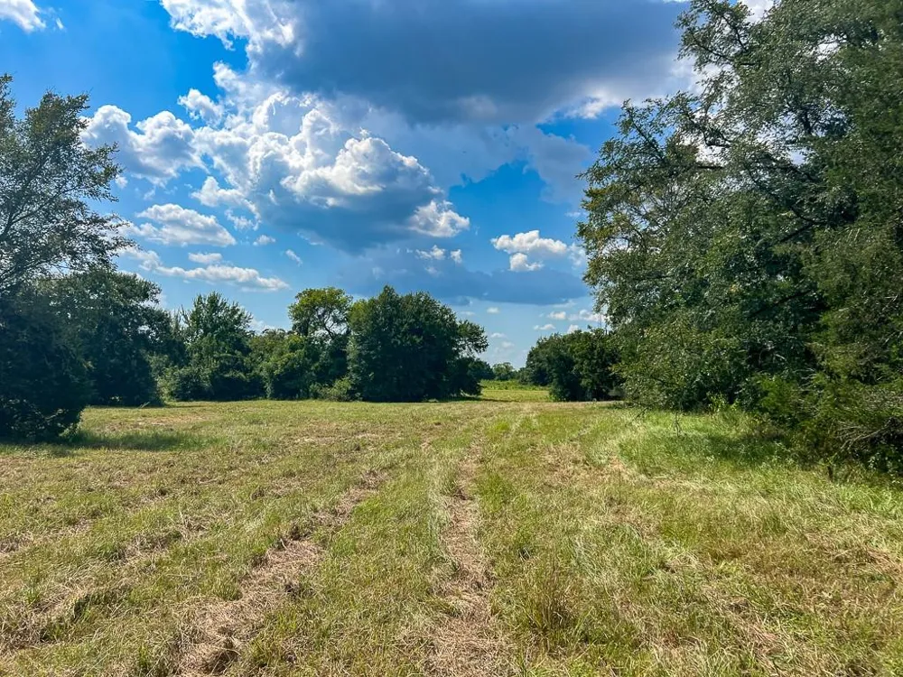 1957 County Road 155 Bedias, TX 77831